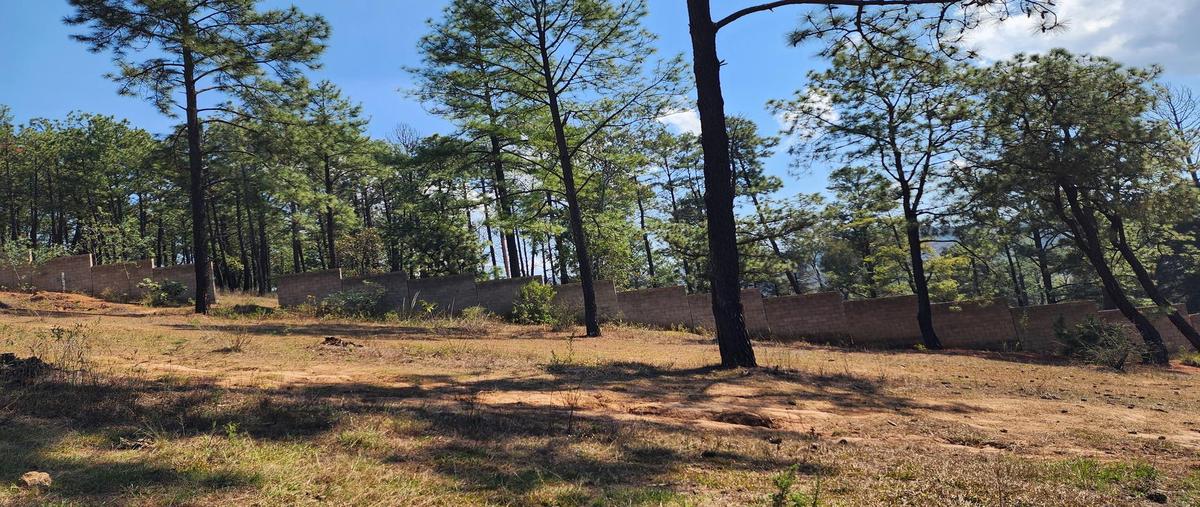 Foto de terreno habitacional en venta en  , san josé de las torres, morelia, michoacán de ocampo, 0 No. 03