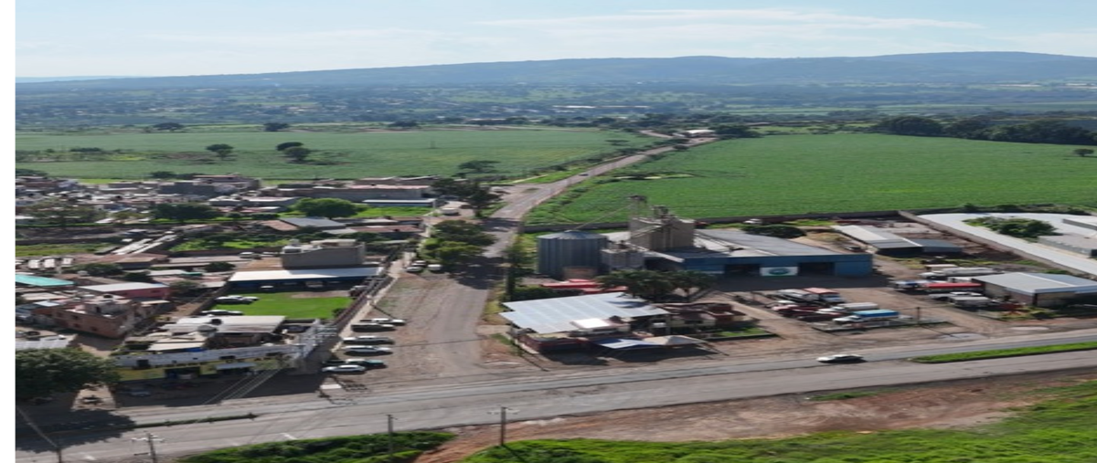 Foto de terreno habitacional en venta en san jose de los encinos , tepatitlán de morelos centro, tepatitlán de morelos, jalisco, 0 No. 03