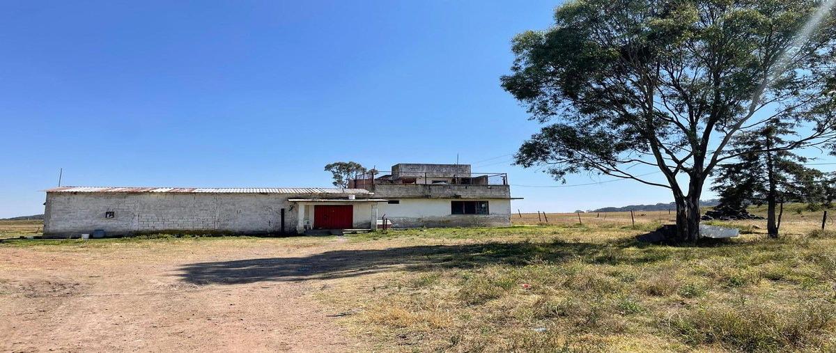 Foto de rancho en venta en san jose deguedo , san josé deguedo, soyaniquilpan de juárez, méxico, 30963863 No. 05
