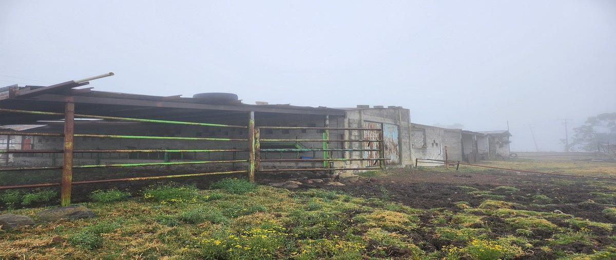 Foto de rancho en venta en san jose deguedo , san josé deguedo, soyaniquilpan de juárez, méxico, 0 No. 09