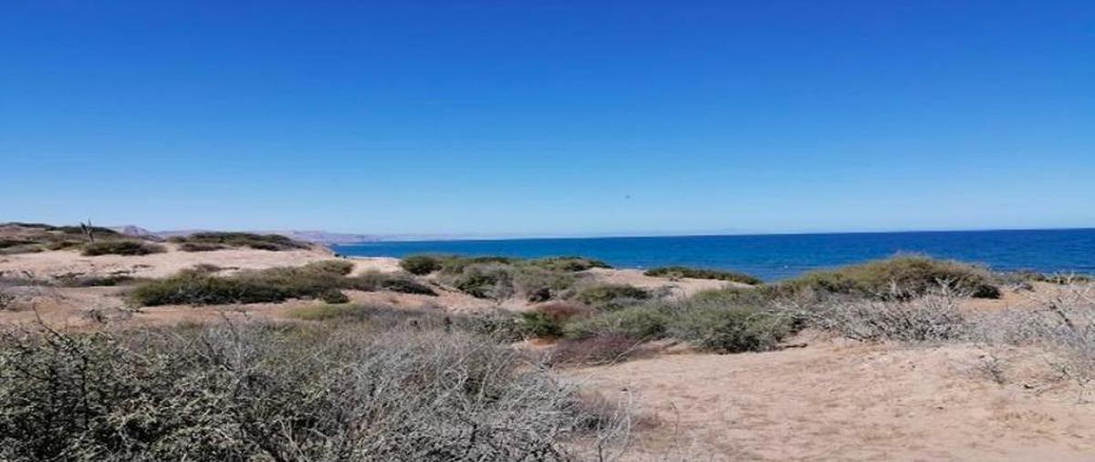 Foto de terreno habitacional en venta en  , san josé del cabo centro, los cabos, baja california sur, 0 No. 05