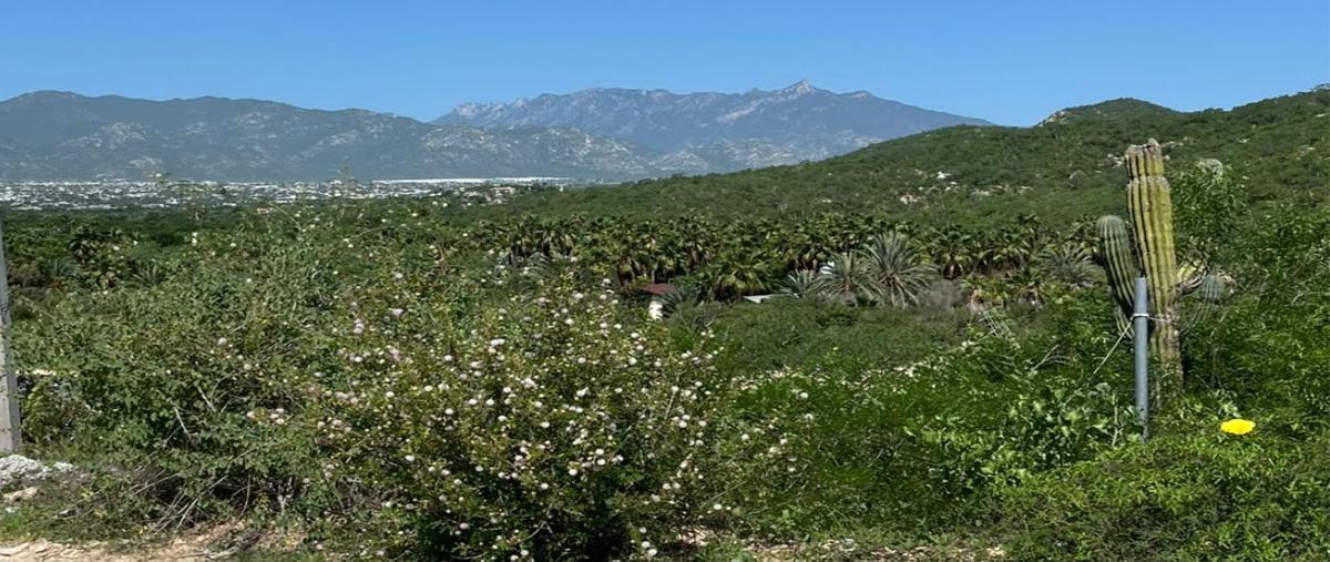 Foto de terreno habitacional en venta en  , san josé del cabo (los cabos), los cabos, baja california sur, 31727644 No. 03
