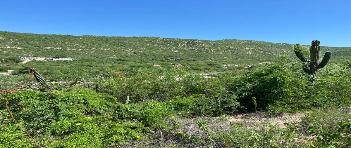 Foto de terreno habitacional en venta en  , san josé del cabo (los cabos), los cabos, baja california sur, 31727644 No. 04