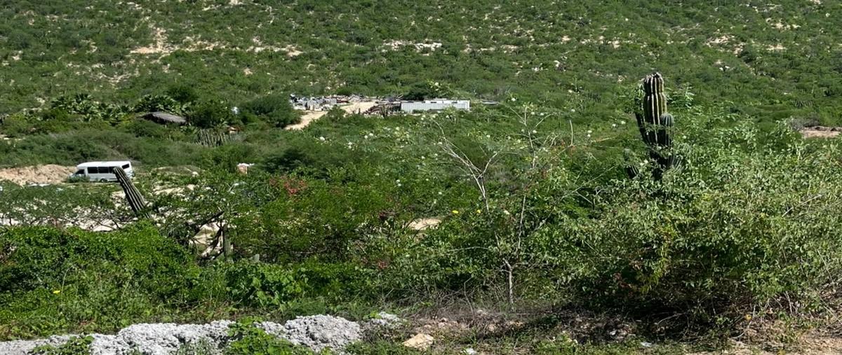 Foto de terreno habitacional en venta en  , san josé del cabo (los cabos), los cabos, baja california sur, 31727644 No. 05