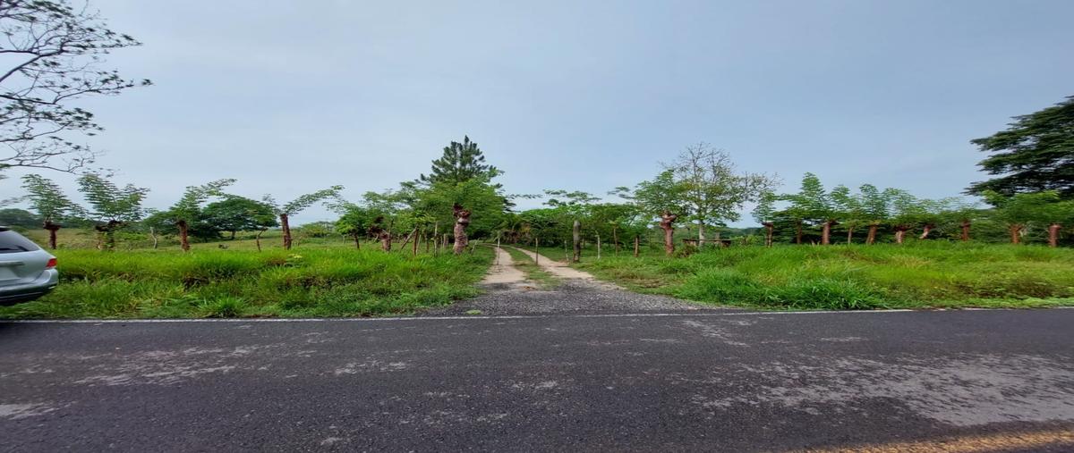 Foto de terreno habitacional en renta en  , san josé del carmen, las choapas, veracruz de ignacio de la llave, 27189679 No. 03