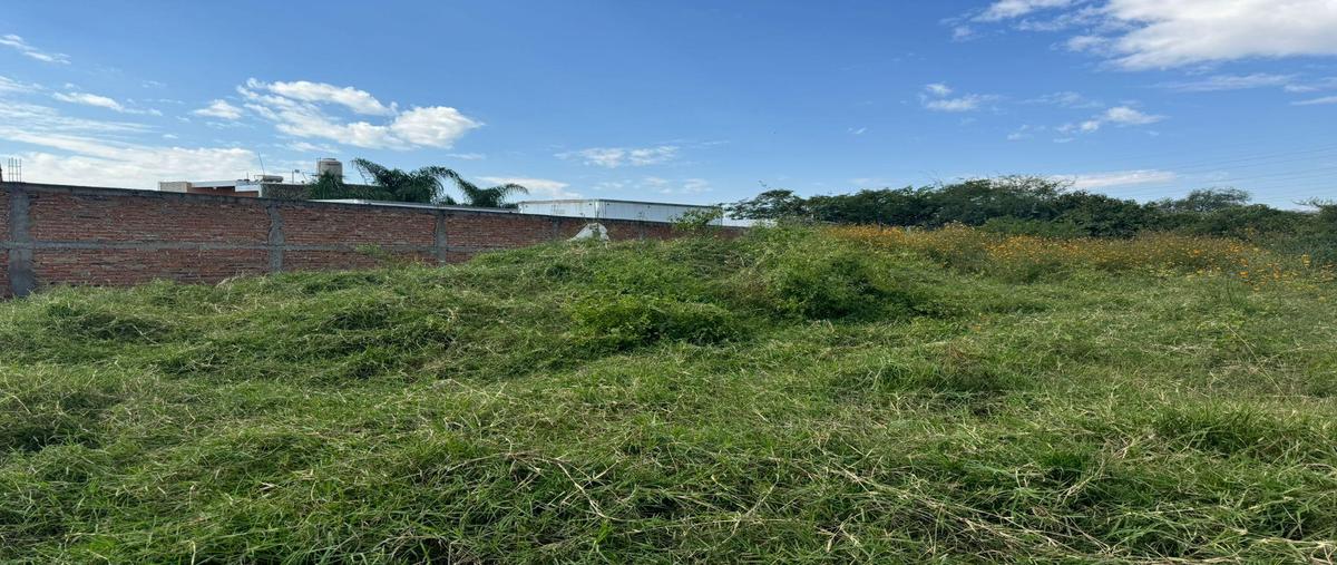 Foto de terreno habitacional en venta en  , san jose del castillo, el salto, jalisco, 0 No. 01
