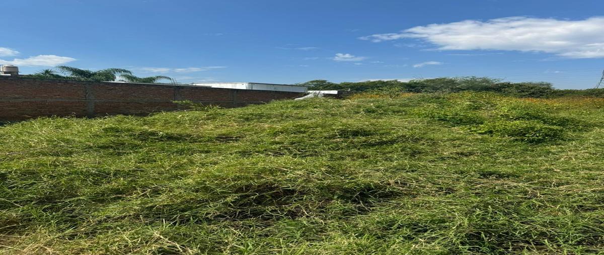 Foto de terreno habitacional en venta en  , san jose del castillo, el salto, jalisco, 0 No. 03