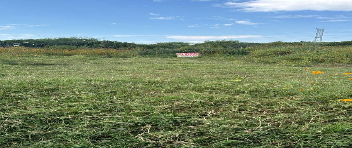 Foto de terreno habitacional en venta en  , san jose del castillo, el salto, jalisco, 0 No. 05