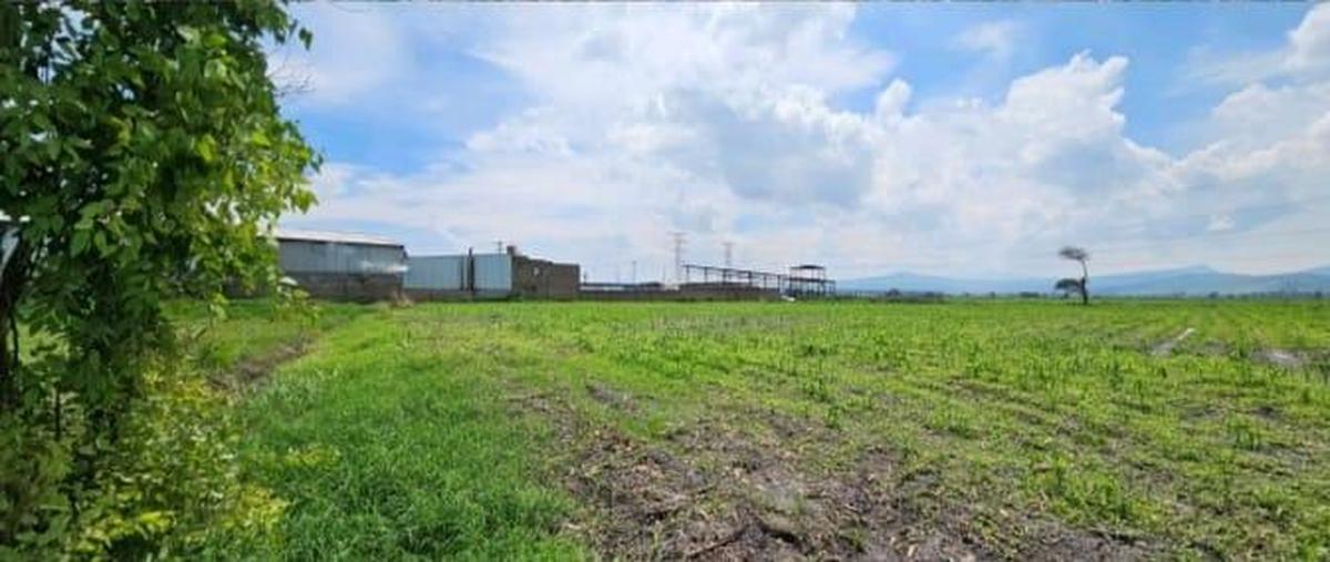 Foto de terreno habitacional en , san jose del castillo, el salto, jalisco, 28958550 foto 03 Foto de terreno habitacional en venta en , san jose del castillo, el salto, jalisco, 28958550 No. 03