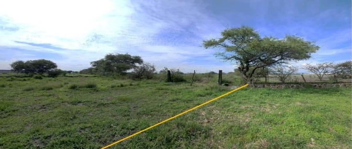 Foto de terreno habitacional en venta en  , san jose del castillo, el salto, jalisco, 0 No. 03