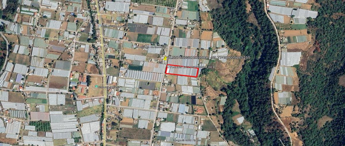 Foto de terreno habitacional en venta en  , san josé del progreso, coatepec harinas, méxico, 0 No. 03