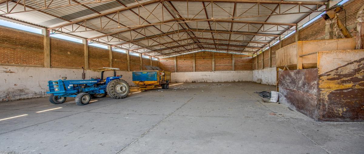Foto de terreno habitacional en venta en  , san jose del valle, tlajomulco de zúñiga, jalisco, 24235397 No. 05