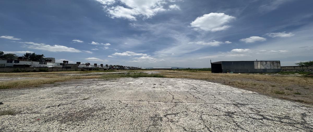 Foto de terreno habitacional en renta en  , san jose del valle, tlajomulco de zúñiga, jalisco, 30429597 No. 03