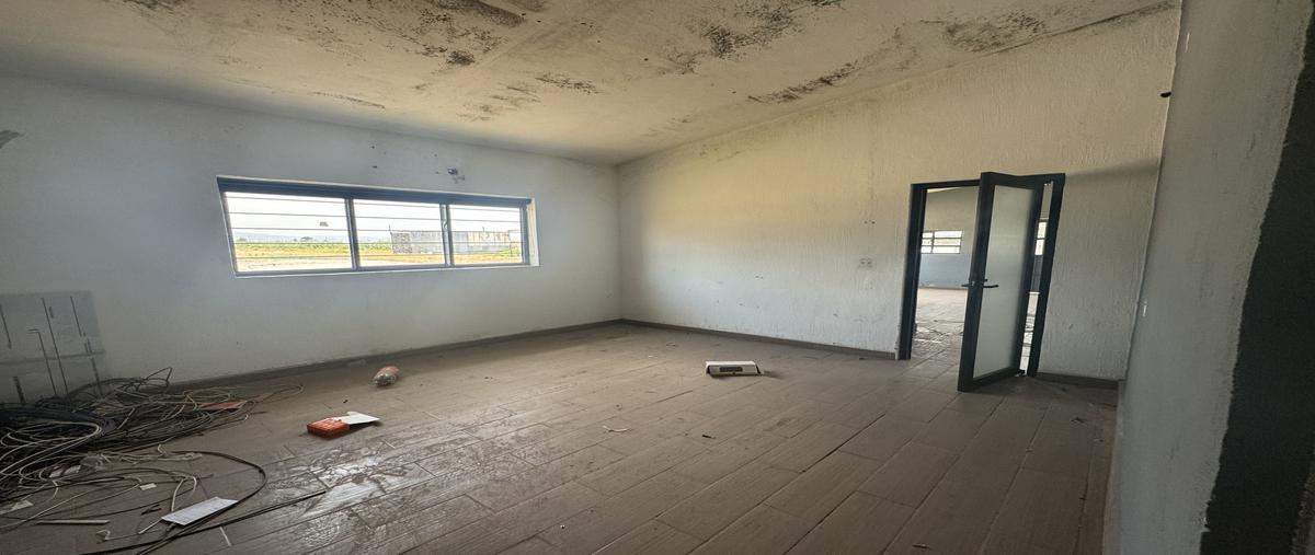 Foto de terreno habitacional en renta en  , san jose del valle, tlajomulco de zúñiga, jalisco, 30429597 No. 05