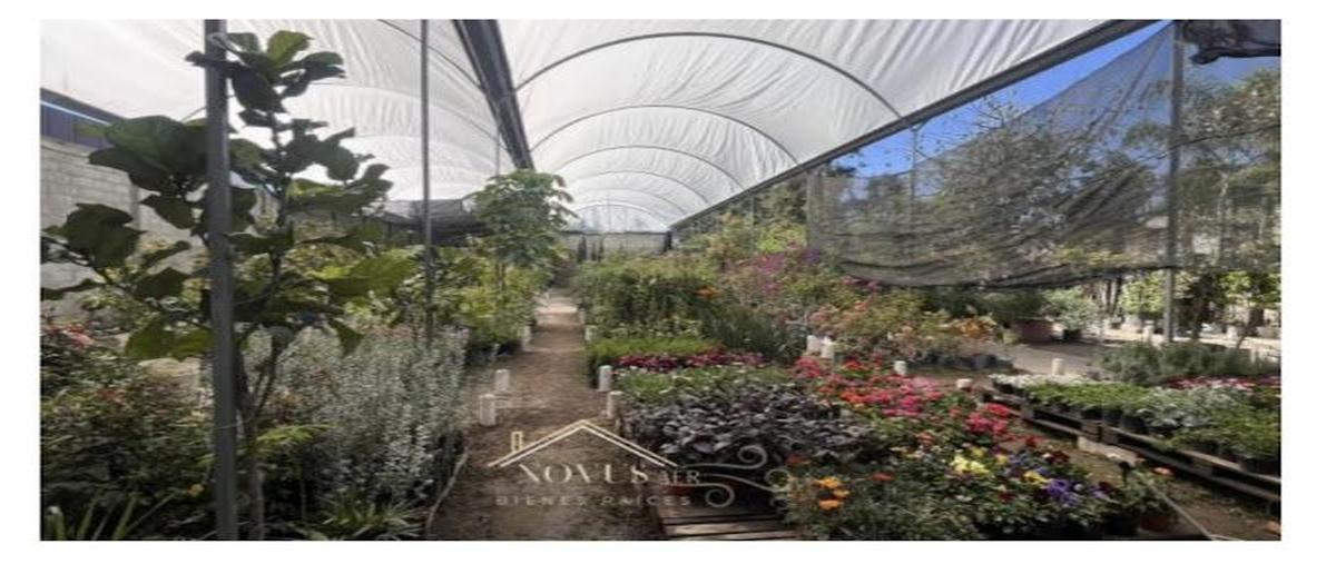 Foto de terreno habitacional en , san josé el alto, león, guanajuato, 30216385 foto 04 Foto de terreno habitacional en renta en , san josé el alto, león, guanajuato, 30216385 No. 04