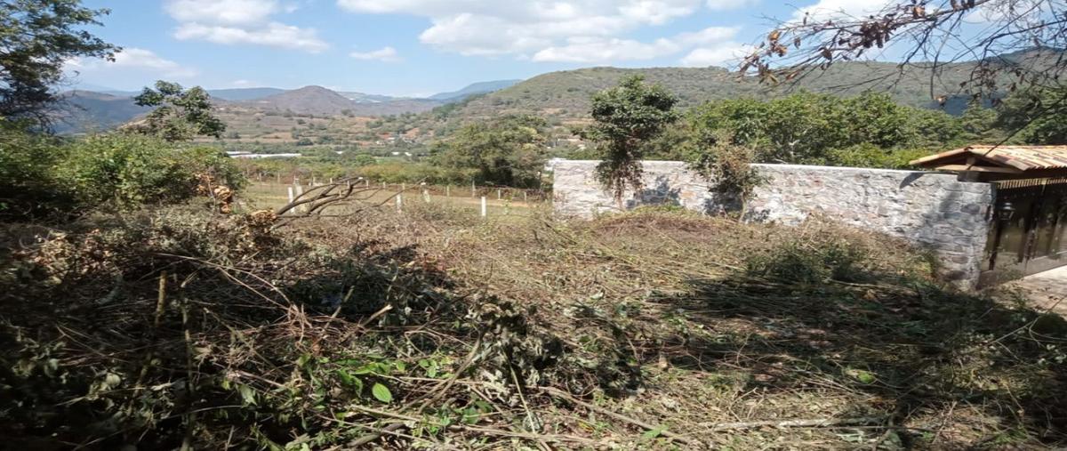 Foto de terreno habitacional en venta en  , san josé el cuartel, tenancingo, méxico, 30337379 No. 03