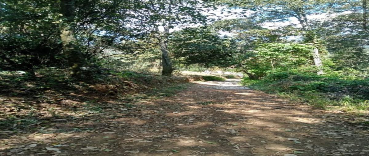 Foto de terreno habitacional en venta en  , san josé el cuartel, tenancingo, méxico, 30337379 No. 04