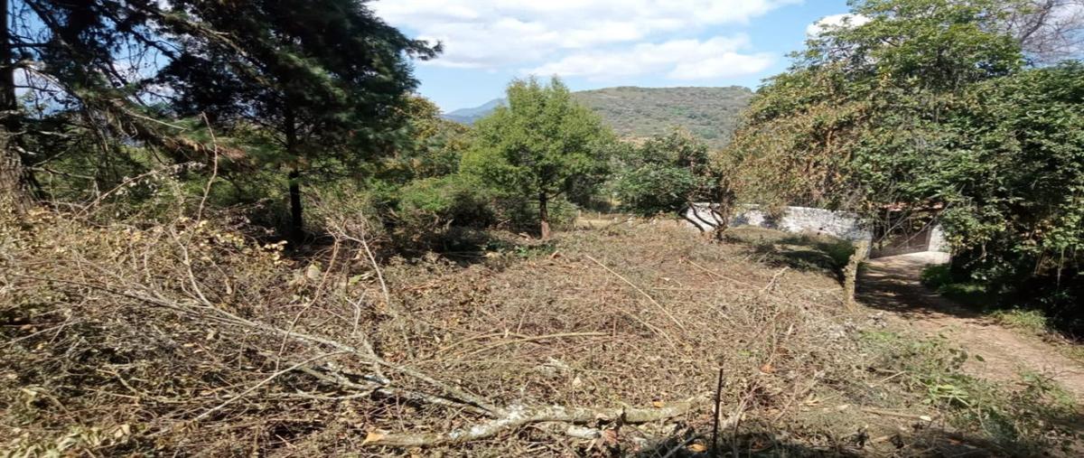 Foto de terreno habitacional en venta en  , san josé el cuartel, tenancingo, méxico, 30337379 No. 05