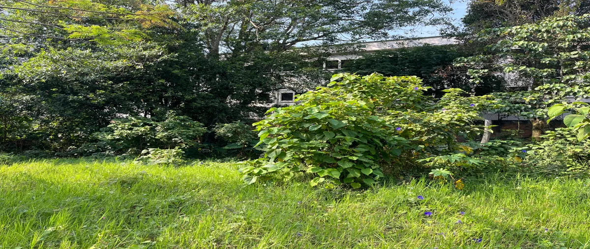 Foto de terreno habitacional en venta en san jose , el espinal, orizaba, veracruz de ignacio de la llave, 0 No. 03