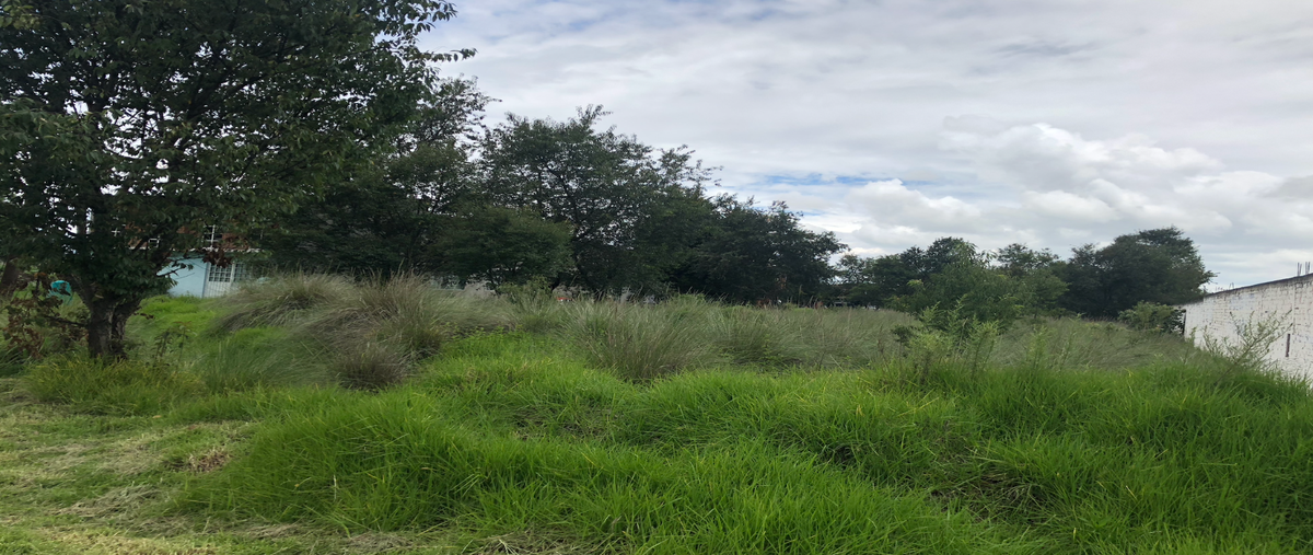 Foto de terreno habitacional en venta en  , san josé el llanito, lerma, méxico, 25399370 No. 05