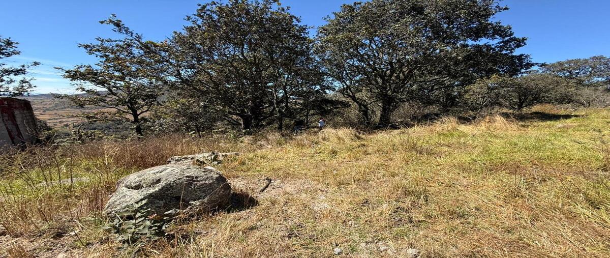 Foto de terreno habitacional en venta en  , san josé ithó, amealco de bonfil, querétaro, 0 No. 05