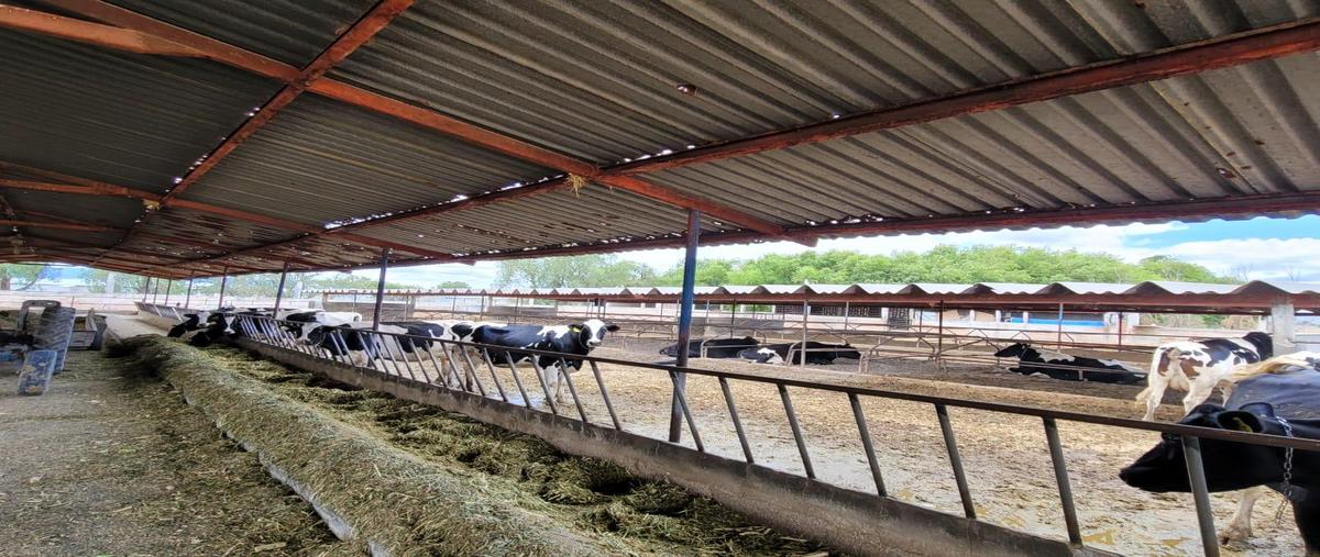 Foto de terreno habitacional en venta en  , san josé iturbide centro, san josé iturbide, guanajuato, 0 No. 03