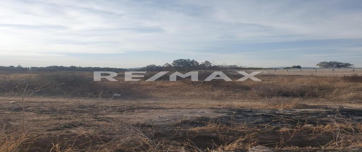 Foto de terreno comercial en venta en san jose iturbide, servidumbre de paso s/n , la huerta, san josé iturbide, guanajuato, 30114672 No. 04
