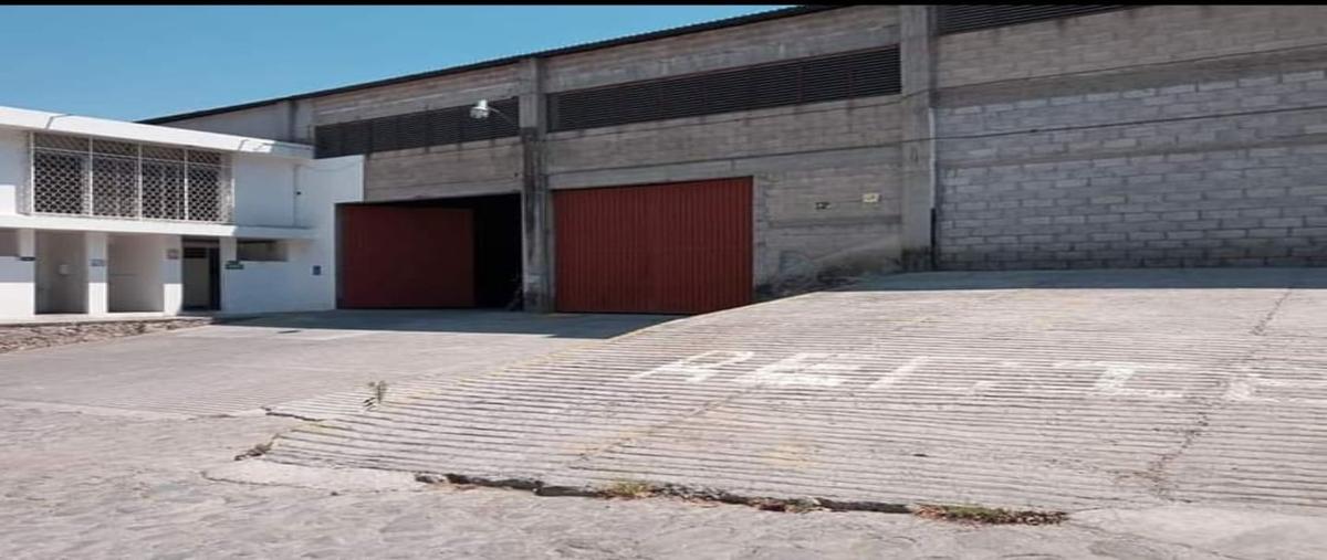 Foto de bodega en renta en  , san josé, jiutepec, morelos, 28767503 No. 05