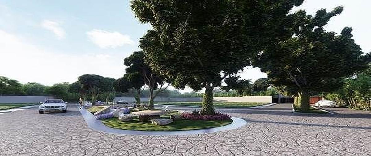 Foto de terreno habitacional en venta en san jose kuche , san diego cutz, conkal, yucatán, 0 No. 05