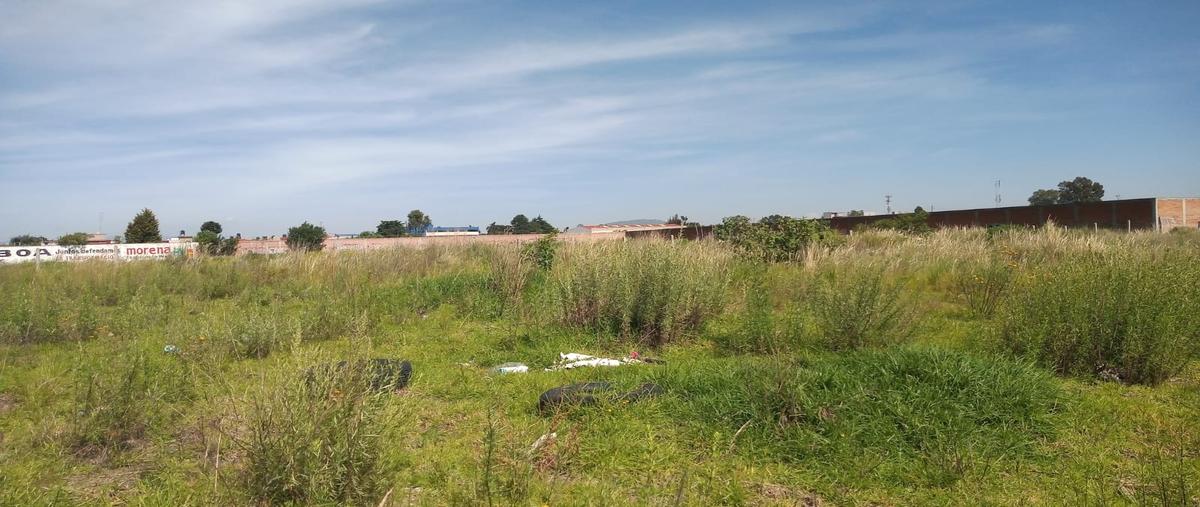 Foto de terreno habitacional en venta en  , san josé la pilita, metepec, méxico, 24327927 No. 03