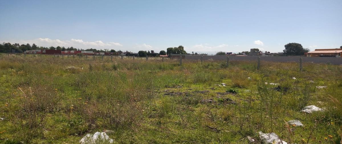 Foto de terreno habitacional en venta en  , san josé la pilita, metepec, méxico, 24327927 No. 04