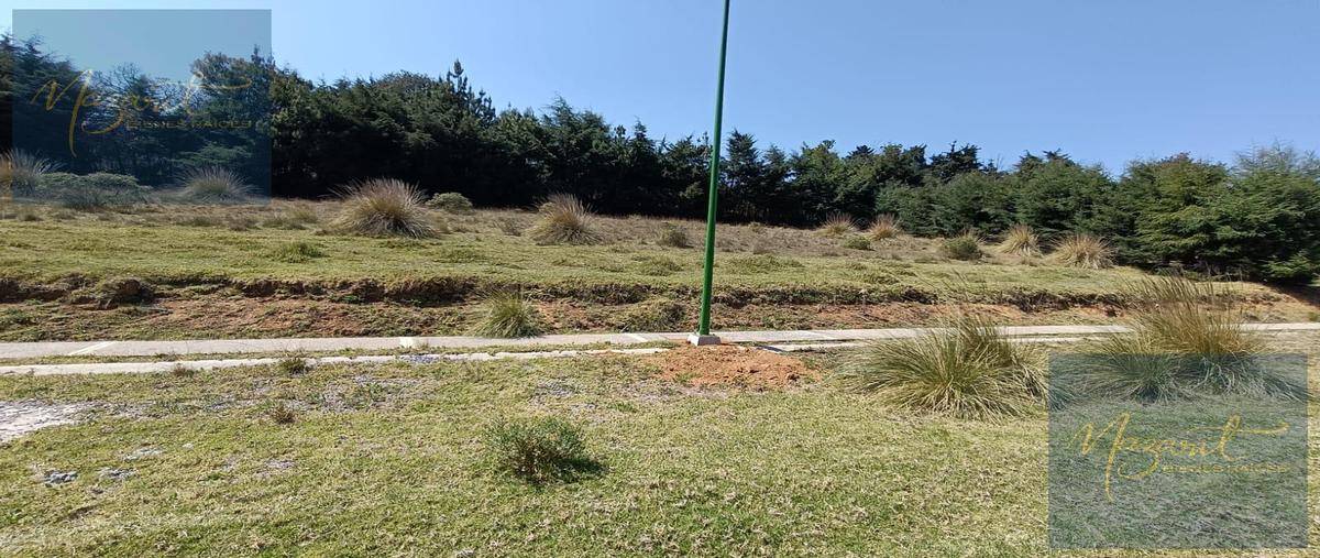 Foto de terreno habitacional en venta en  , san josé maquixtla, zacatlán, puebla, 31068497 No. 05