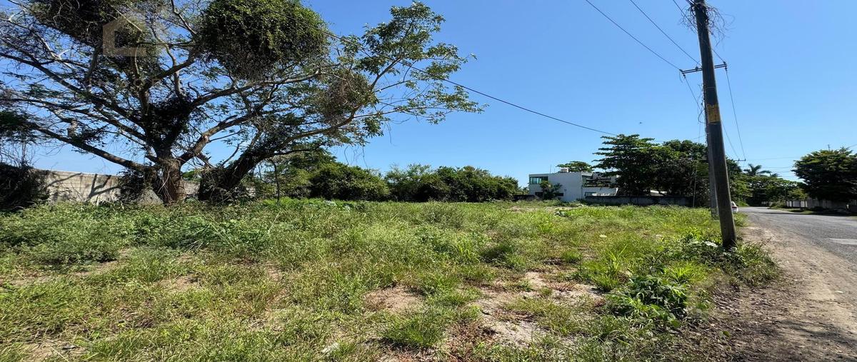 Foto de terreno habitacional en venta en  , san josé novillero, boca del río, veracruz de ignacio de la llave, 29902867 No. 04