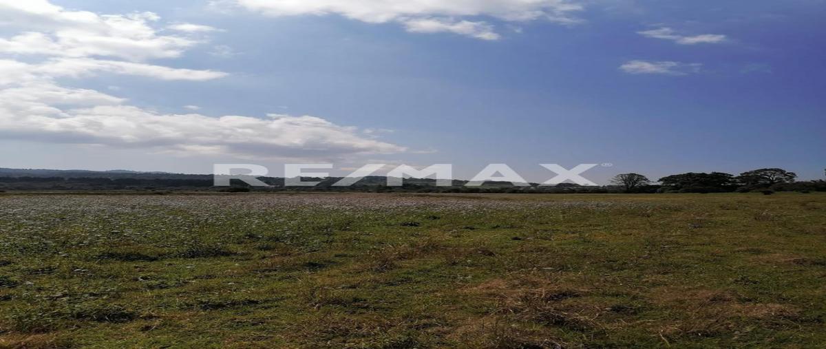 Foto de terreno habitacional en venta en san josé potrerillos , mesa rica, valle de bravo, méxico, 0 No. 05