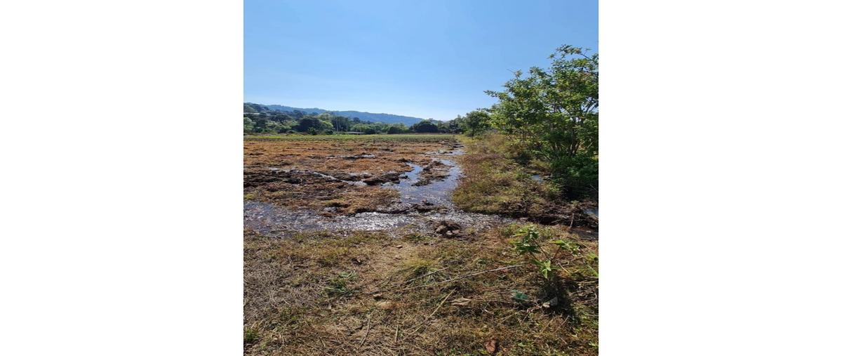 Foto de terreno habitacional en venta en  , san josé potrerillos (potrerillos), valle de bravo, méxico, 0 No. 03