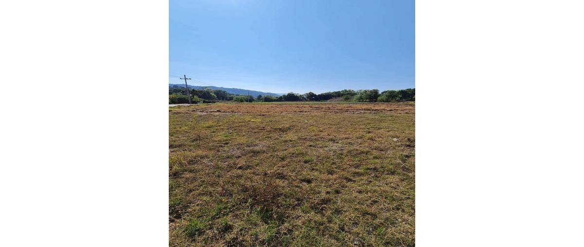 Foto de terreno habitacional en venta en  , san josé potrerillos (potrerillos), valle de bravo, méxico, 0 No. 05