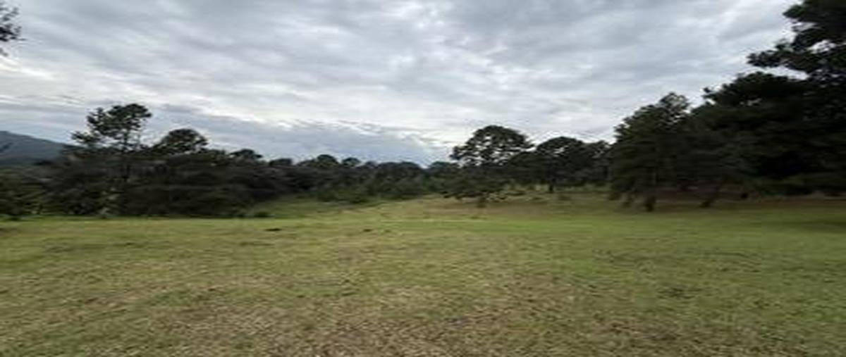 Foto de terreno habitacional en venta en  , san josé potrerillos (potrerillos), valle de bravo, méxico, 30360206 No. 03