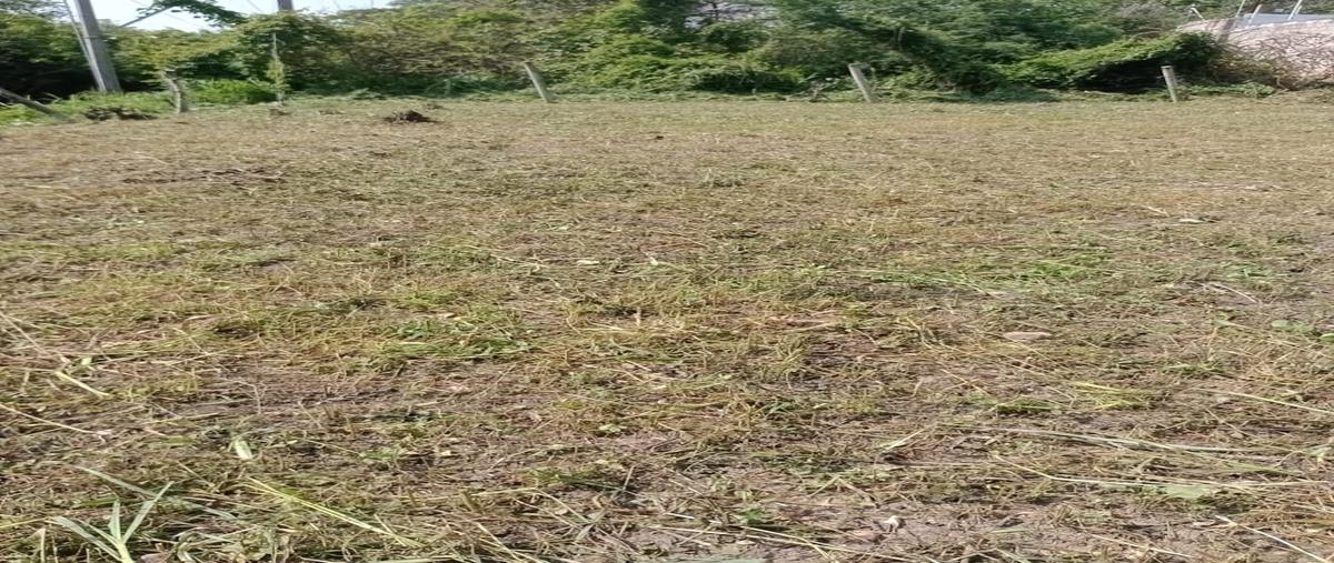 Foto de terreno habitacional en venta en san josé , ribera las flechas, chiapa de corzo, chiapas, 0 No. 03