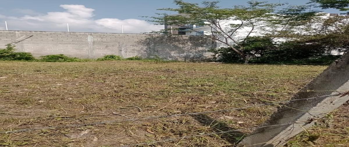 Foto de terreno habitacional en venta en san josé , ribera las flechas, chiapa de corzo, chiapas, 0 No. 04