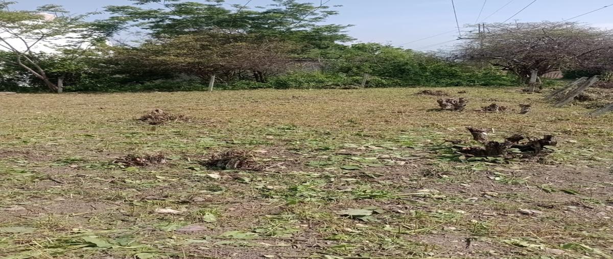 Foto de terreno habitacional en venta en san josé , ribera las flechas, chiapa de corzo, chiapas, 0 No. 05