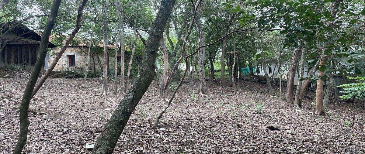 Foto de terreno habitacional en venta en san jose , san jose sur, santiago, nuevo león, 30055056 No. 04