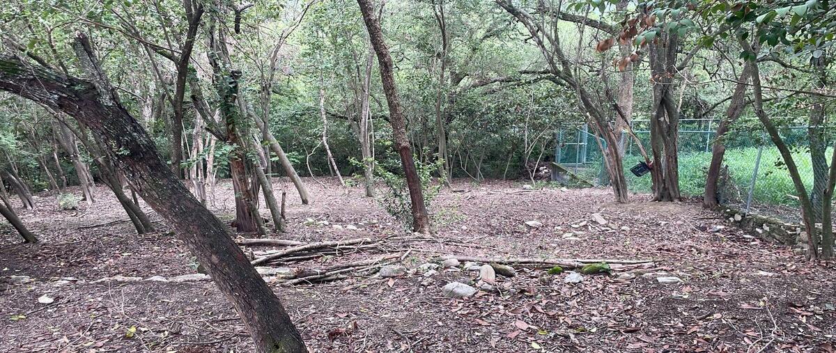 Foto de terreno habitacional en venta en san jose , san jose sur, santiago, nuevo león, 30055056 No. 05