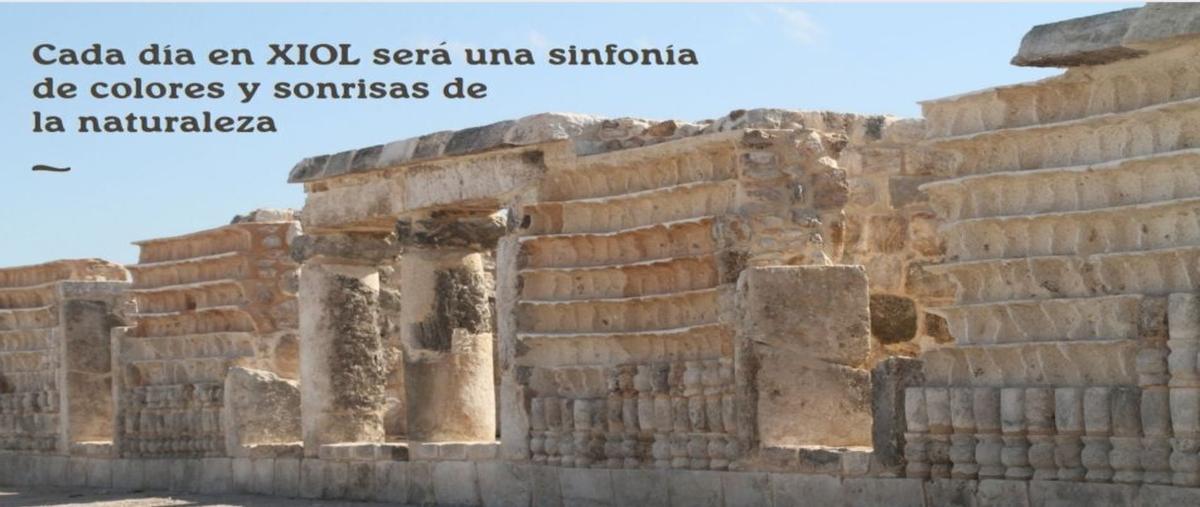 Foto de terreno habitacional en venta en  , san jose tecoh, mérida, yucatán, 27443629 No. 05