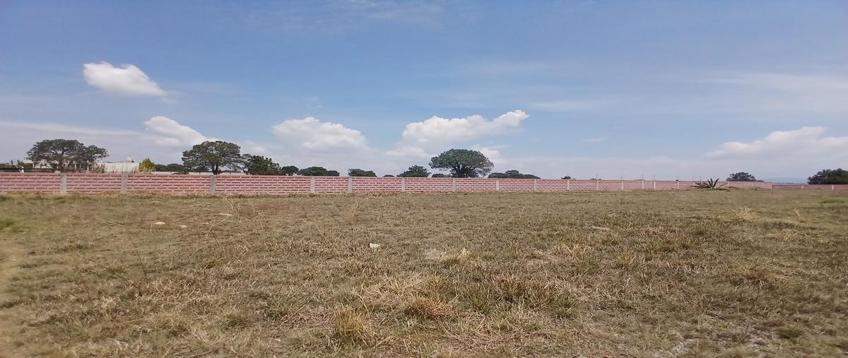 Foto de terreno habitacional en , san josé tetel, yauhquemehcan, tlaxcala, 0 foto 01 Foto de terreno habitacional en renta en , san josé tetel, yauhquemehcan, tlaxcala, 0 No. 01
