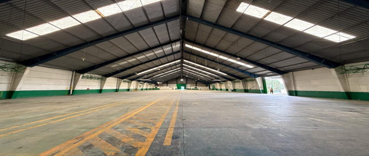 Foto de nave industrial en renta en  , san josé tetel, yauhquemehcan, tlaxcala, 0 No. 04