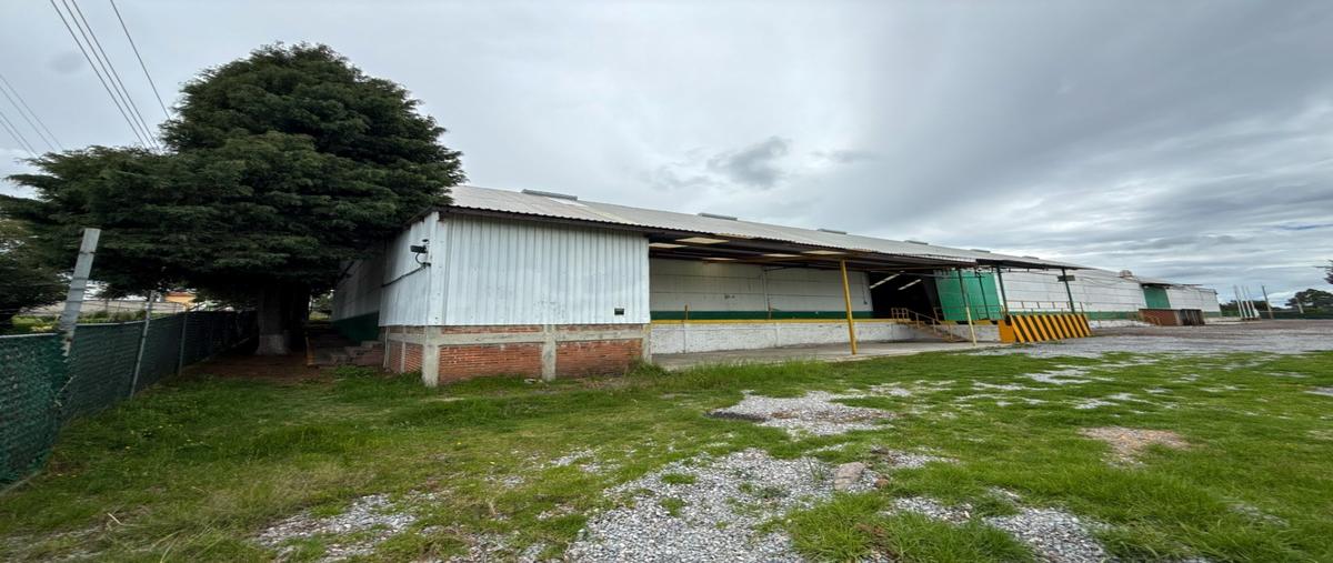 Foto de nave industrial en renta en  , san josé tetel, yauhquemehcan, tlaxcala, 0 No. 05