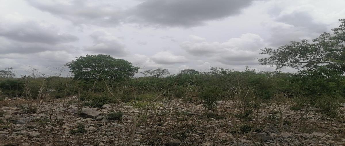 Foto de terreno habitacional en venta en  , san jose tzal, mérida, yucatán, 0 No. 04