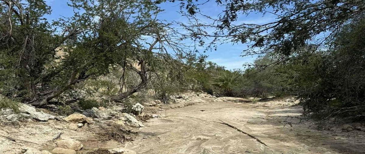 Foto de terreno habitacional en venta en  , san josé viejo, los cabos, baja california sur, 0 No. 04