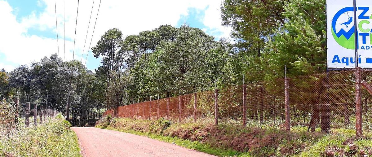 Foto de rancho en venta en  , san josé, zacatlán, puebla, 29518159 No. 04