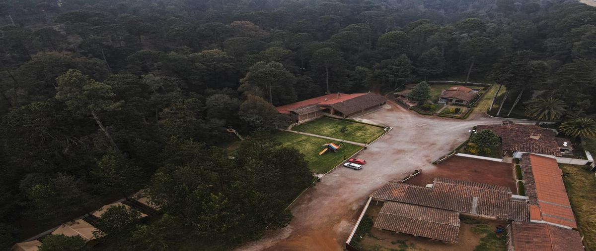 Foto de rancho en venta en  , san josé, zacatlán, puebla, 29518159 No. 05